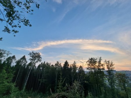 20210913_190631.jpg