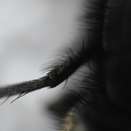 IMG20210917115038.jpg
