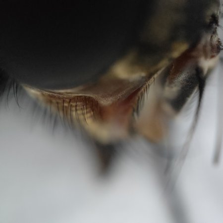IMG20210917115508.jpg