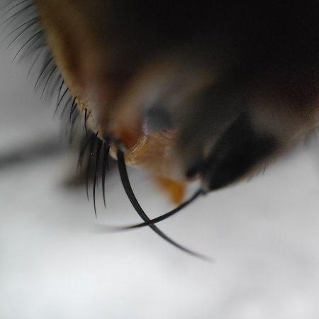 IMG20210917115318.jpg