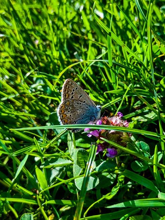 IMG_20210918_154942801_HDR (1).jpg