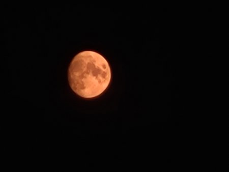 20210918_202040.jpg