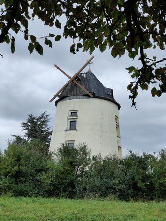 IMG20210919141139.jpg
