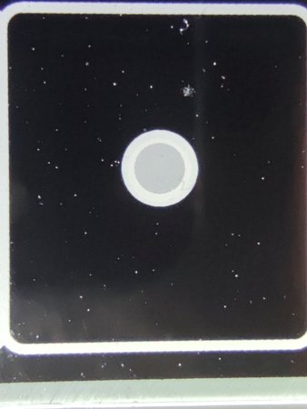 IMG_20210919_193510.jpg