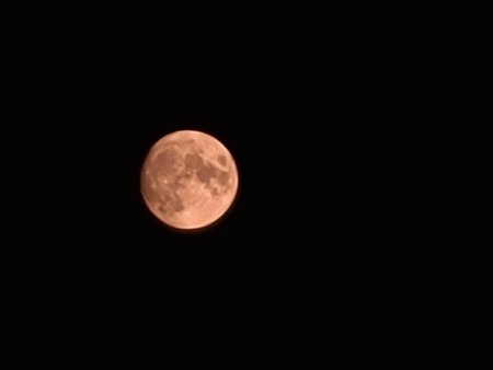 20210919_202526.jpg