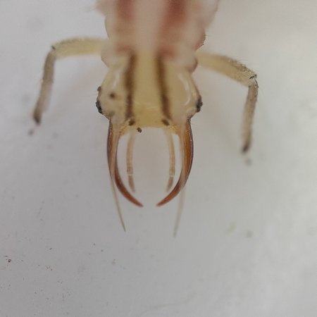 IMG20210713153937.jpg
