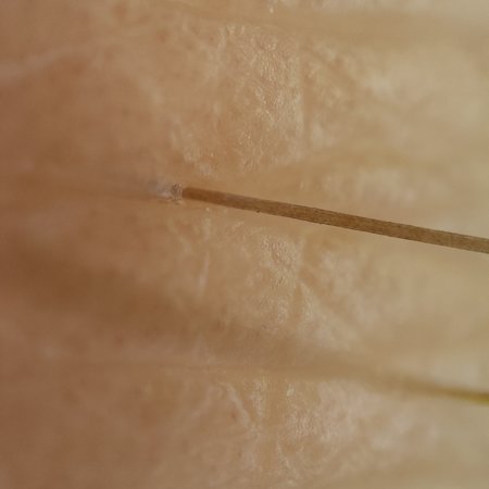 IMG20210920061709.jpg