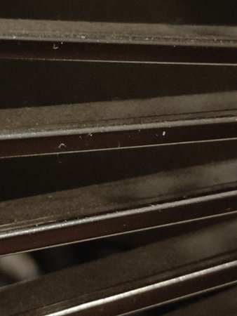 IMG20210923043115.jpg