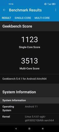 Screenshot_2021-05-12-19-16-38-238_com.primatelabs.geekbench5.jpg