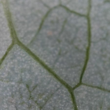 IMG20210914163455.jpg