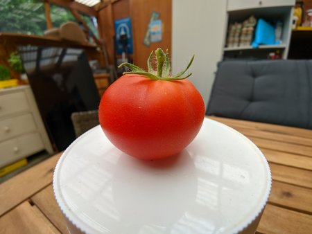 PXL_20210927_154146270.jpg