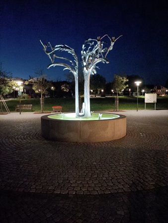IMG20210912202113.jpg