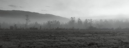 IMG_20211001_065450.jpg