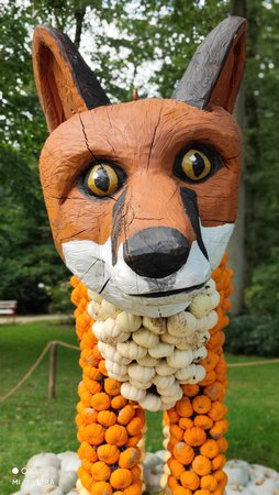 IMG_20210925_153411.jpg