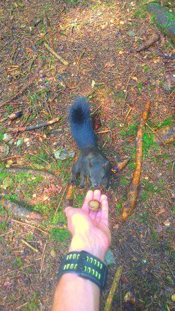 2012-08-05 12.54.51.jpg