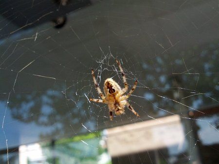 IMG_20120810_124706.jpg