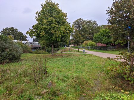 PXL_20211003_161018869.jpg