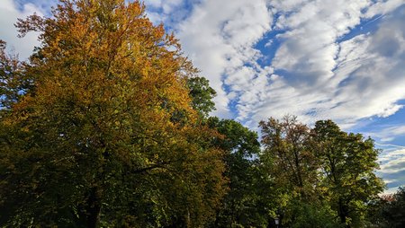 IMG_20211003_173451.jpg