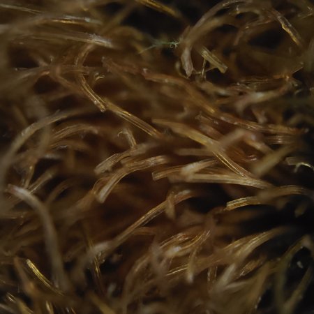 IMG20211006213246.jpg