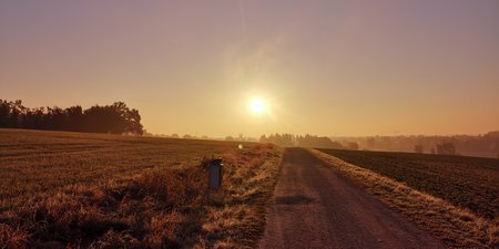 IMG_20211009_080446.jpg