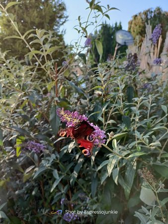 IMG20211009165936.jpg