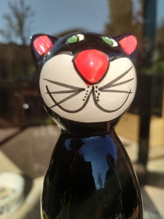 Kater in unecht.JPG