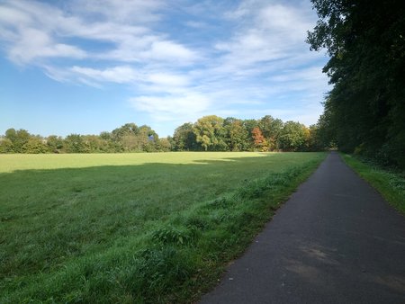Sonne und Schatten.JPG