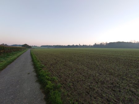 Vor Sonnenaufgang.JPG