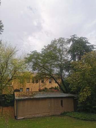 IMG_20211012_125528.jpg