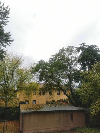 IMG_20211012_125559.jpg