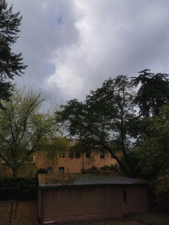 IMG_20211012_125603.jpg