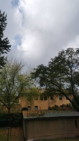 IMG_20211012_125655.jpg