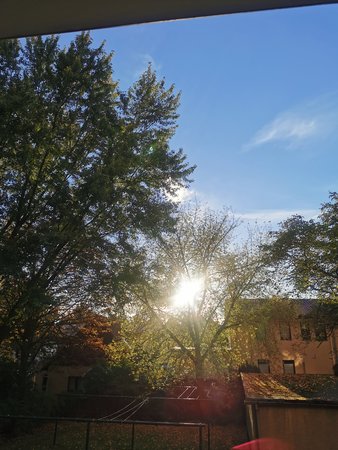 IMG_20211012_170556.jpg