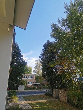 IMG_20211012_170614.jpg