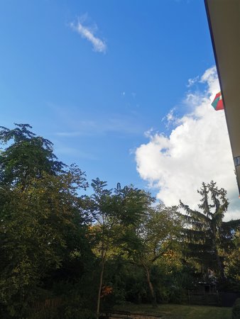 IMG_20211012_170629.jpg