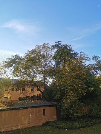 IMG_20211012_170638.jpg