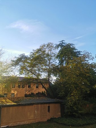 IMG_20211012_170649.jpg