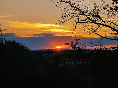 IMG_20211013_182127.jpg