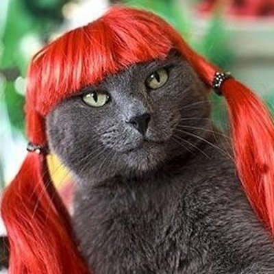 MPK-Pet-Store-Red-Pet-wig-Funny-and-Cute-Cat-Wig-Dog-Wig-Artificial-Orange.jpg