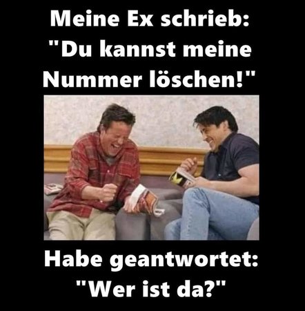 4915eff91a474db8aa46cd3393f34cb9.jpg