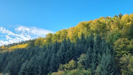 20211020_085749.jpg