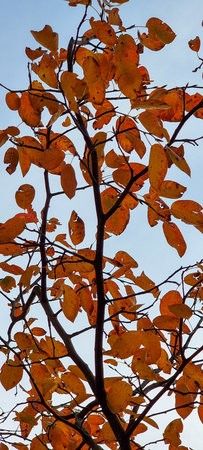 20211020_175105_resized.jpg