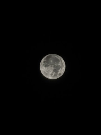 IMG_20211020_055525.jpg