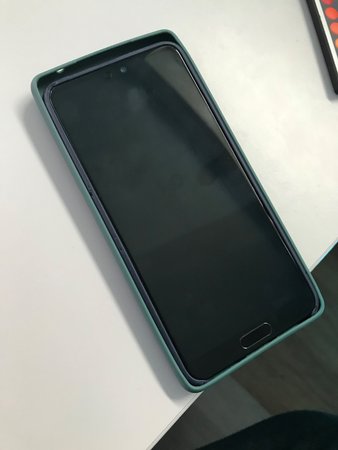 P20 in Pixel 6 Case.jpg