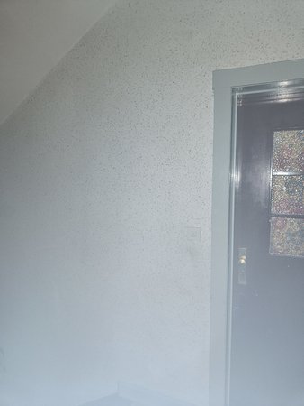 IMG20211022045305.jpg