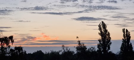 20210910_064529.jpg