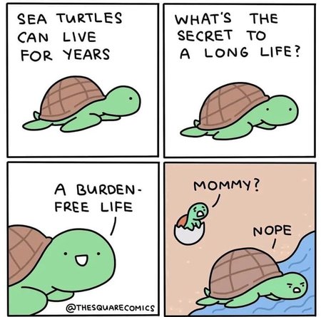 6856b589e79d4f0a89bfbfa64b3d7568.jpg