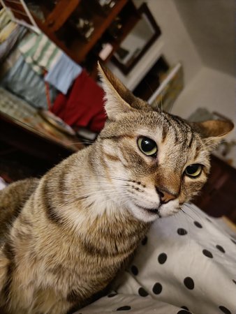 IMG20211020212624.jpg