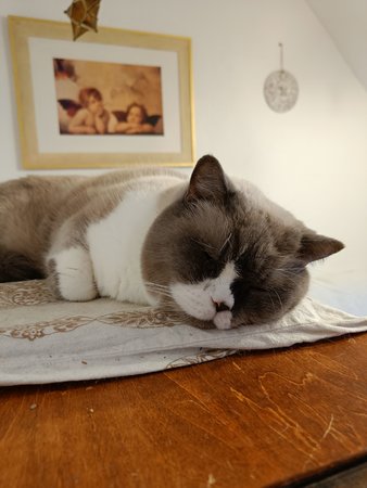 IMG20211022163704.jpg
