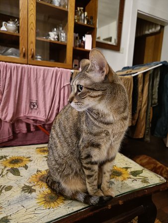 IMG20211022211055.jpg